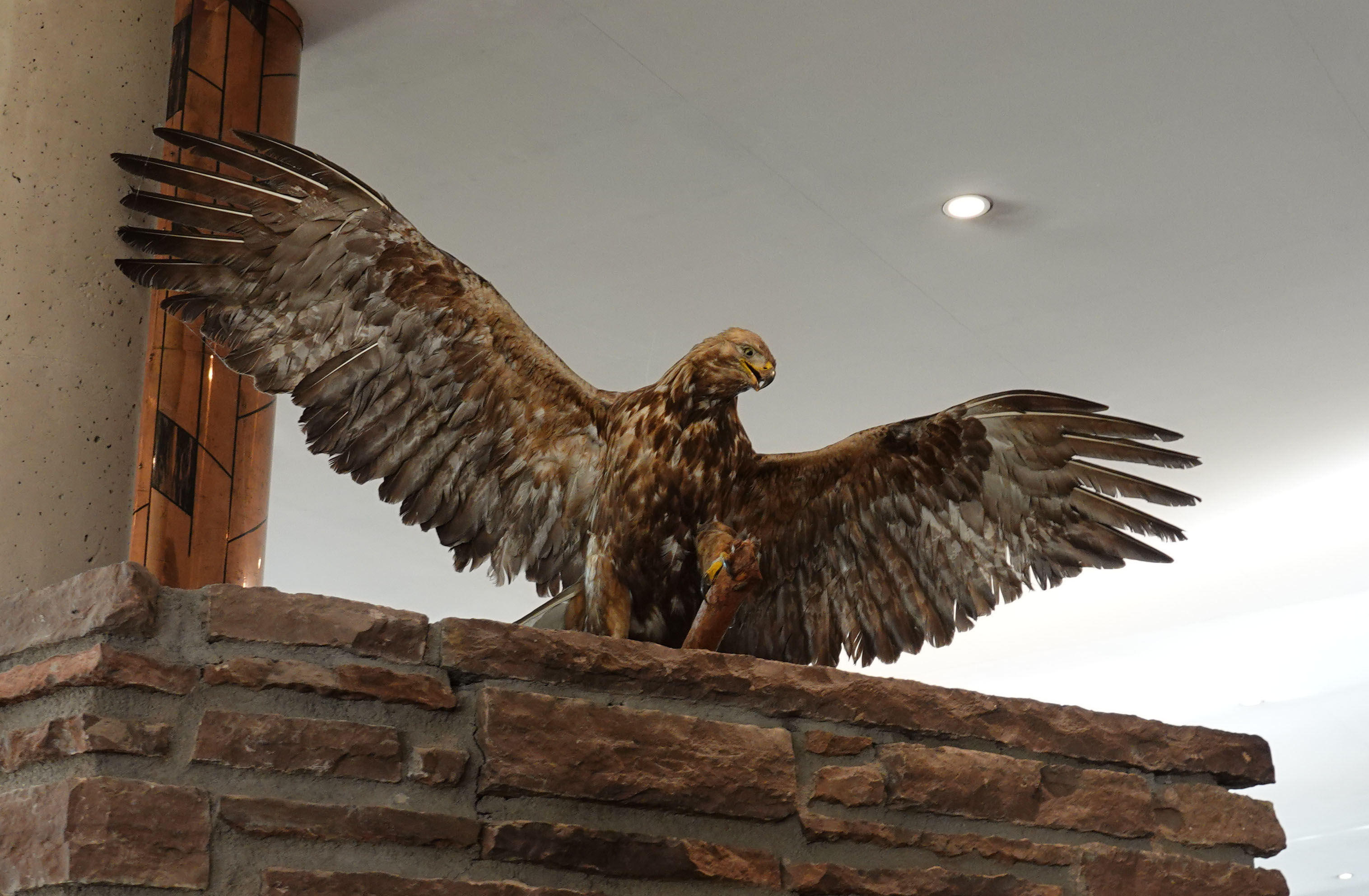 Semifinal på Öijared Resort 2025-09-24