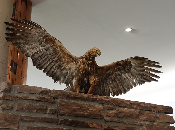 Semifinal på Öijared Resort 2025-09-24